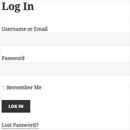 Sewn In Template Log In