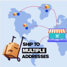 Ship to Multiple Addresses