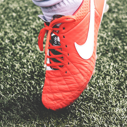 Shortcodes KNVB API