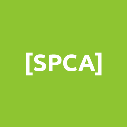 Show Post Content Anywhere