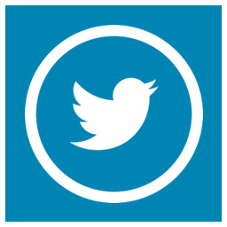 Simple Twitter Slider