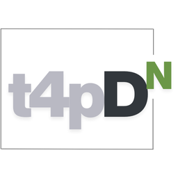 T4P Dashboard Notes