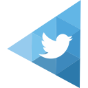 The Twitter Profile