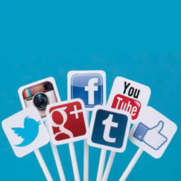 ThemeDiv Social Widget