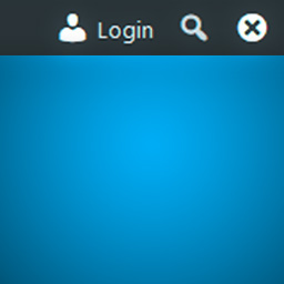 Toolbar Login Button