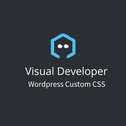 Visual Developer Custom CSS