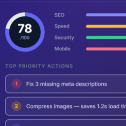 WebAudit Website Widget