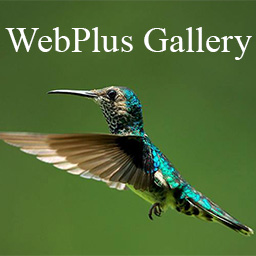 WebPlus Gallery on WordPress