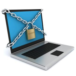 Website Copy Protection