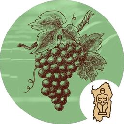 Wine Cellar Manager – From collector to sommelier: wine always in order
