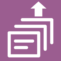 Bulk Upload Downloadable File