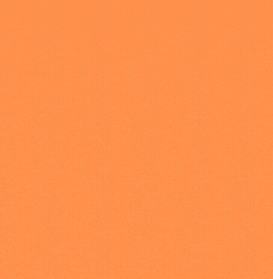 WordSocket