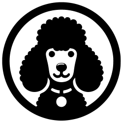 WP Dev Flag
