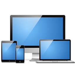 WP Live Portfolio