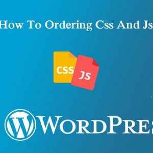 Add Css And Js Option Page Wise