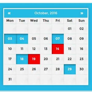Appointment scheduling and Booking Manager