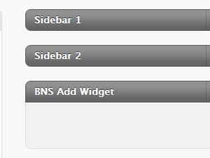 BNS Add Widget