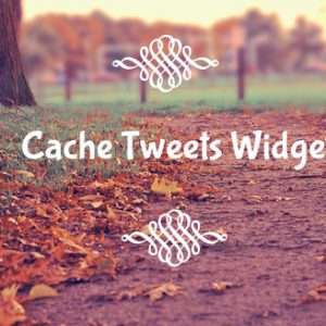 Cache Tweets Widget