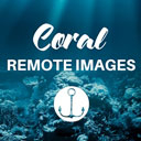 Coral â Remote Images