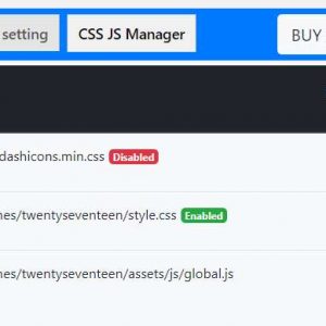 CSS JS Manager