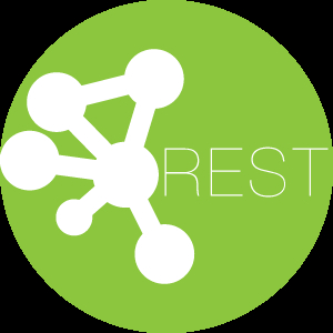 Custom Endpoints With Wp Rest Api