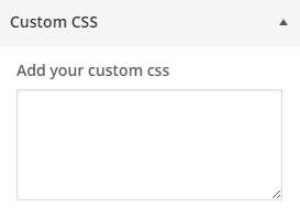 Customizer Custom CSS