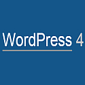 Display WordPress Version