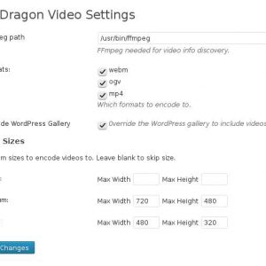 Dragon Video