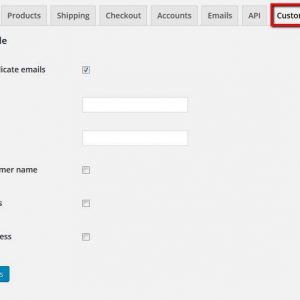 DS Woocommerce Order Email Export