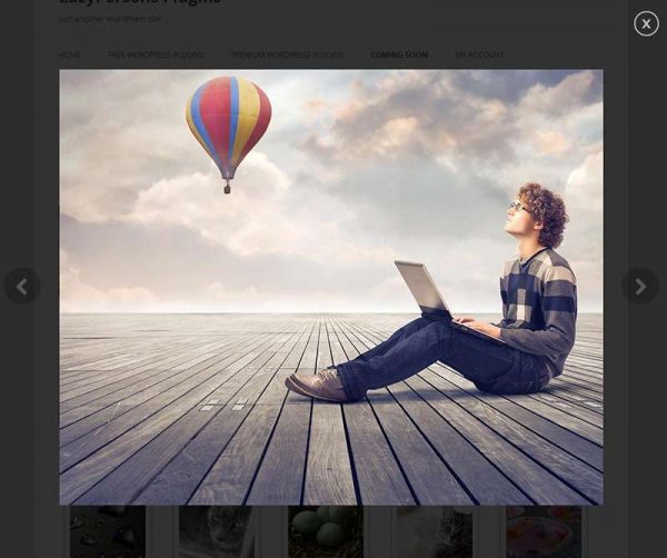 Gallery and Video Lightbox for WordPress