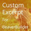 Excerpt Editor for Beaver Builder