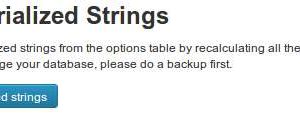 FG Fix Serialized Strings