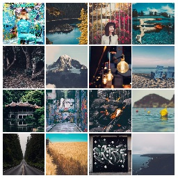 Image grid with hover effects