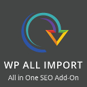 Import Settings into All In One SEO