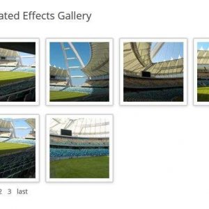 Paginated Effects Gallery