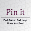 Pin It Button On Image Hover And Post