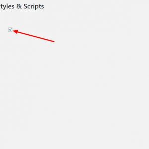 Remove Emoji Styles & Scripts