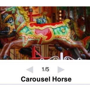 SGT Carousel Gallery