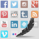 Social Media Feather | social media sharing
