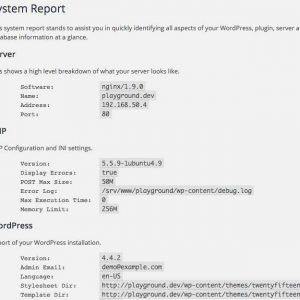 System Report