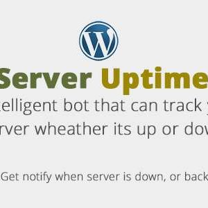 WP Server Uptime Bot by Themeqx.com