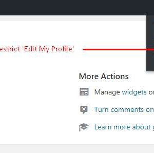 WP User Profile Restriction