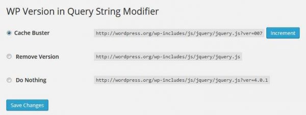 WP Version in Query String Modifier