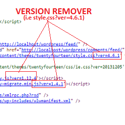 WP Version Remover