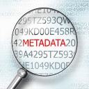 Display Metadata