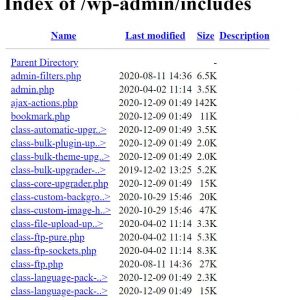 Directory Index Guard