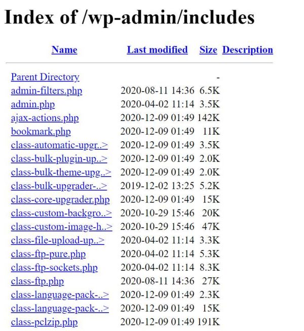 Directory Index Guard