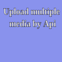 Upload multiple media by Api