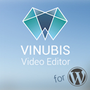 VINUBIS Video Editor