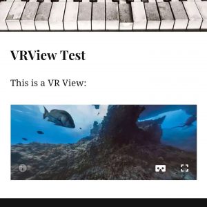 VR Views